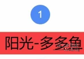 阳光出行自动接抢单软件（多多鱼）支持阳光最新版本司机端