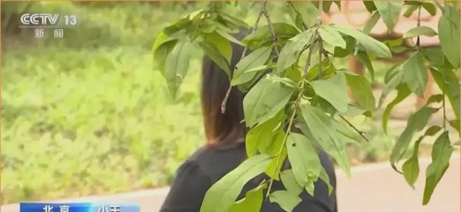 最牛网约车司机_网约车司机背景审查_治安违法记录封存制度